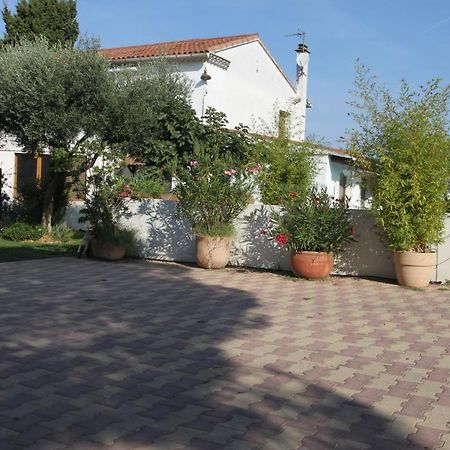 Site Machambreencamargue Вовер Екстер'єр фото